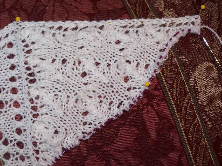 Close up of Wing Pattern